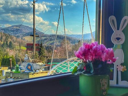  (kliknięcie spowoduje powiększenie obrazu)