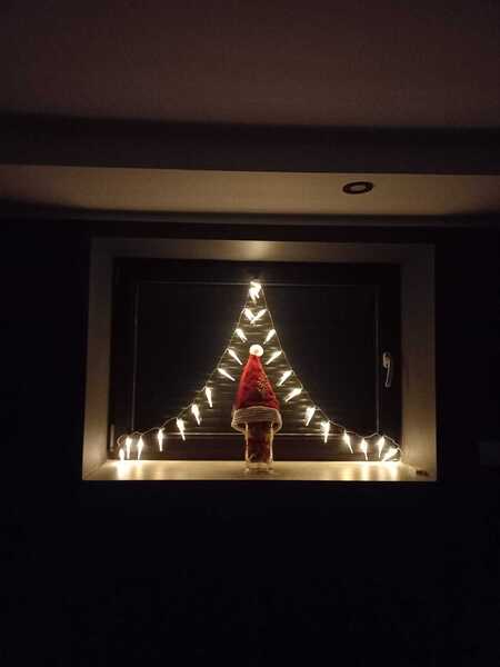  (kliknięcie spowoduje powiększenie obrazu)