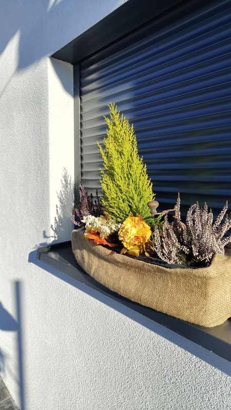  (kliknięcie spowoduje powiększenie obrazu)