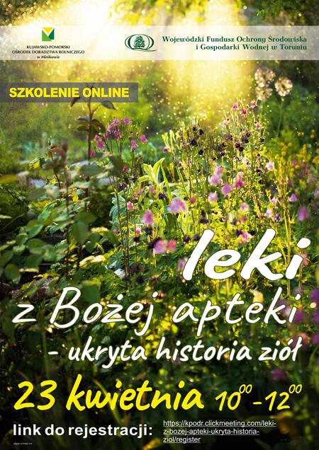  (kliknięcie spowoduje powiększenie obrazu)