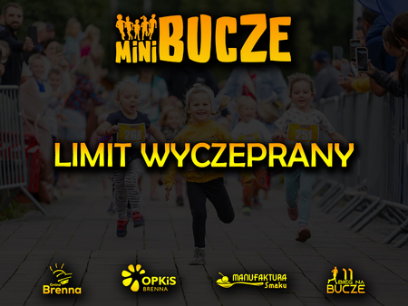  (kliknięcie spowoduje powiększenie obrazu)
