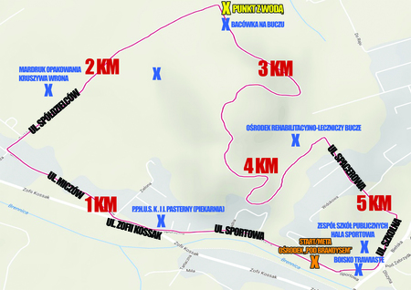  (kliknięcie spowoduje powiększenie obrazu)