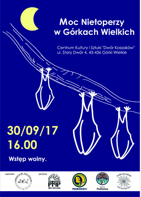  (kliknięcie spowoduje powiększenie obrazu)