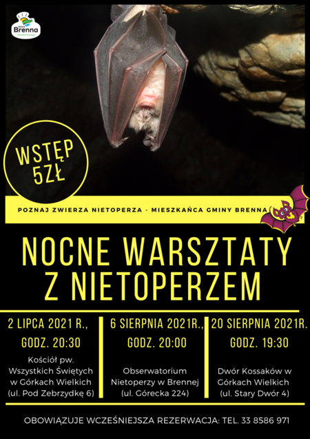  (kliknięcie spowoduje powiększenie obrazu)