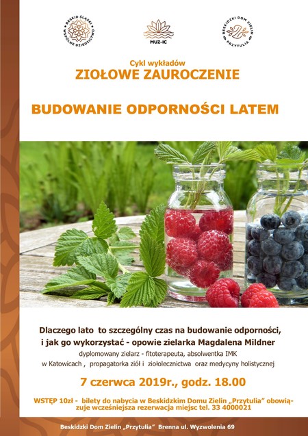  (kliknięcie spowoduje powiększenie obrazu)