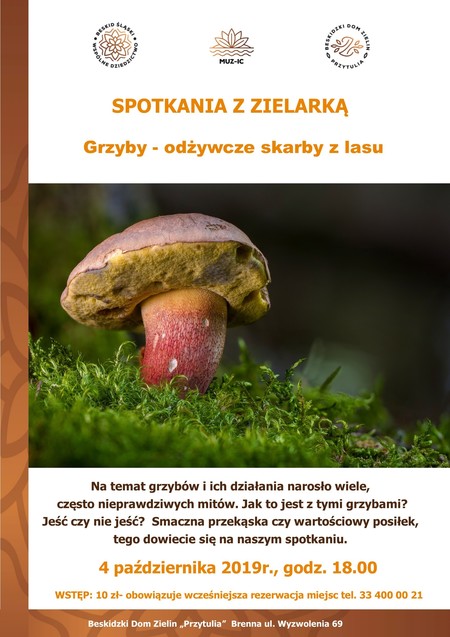  (kliknięcie spowoduje powiększenie obrazu)