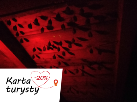  (kliknięcie spowoduje powiększenie obrazu)