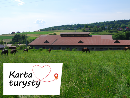  (kliknięcie spowoduje powiększenie obrazu)