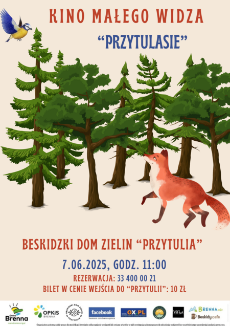  (kliknięcie spowoduje powiększenie obrazu)