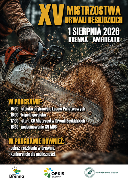  (kliknięcie spowoduje powiększenie obrazu)