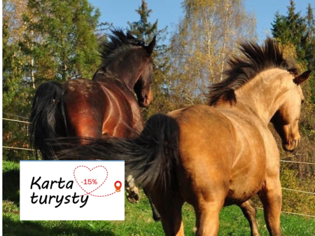  (kliknięcie spowoduje powiększenie obrazu)