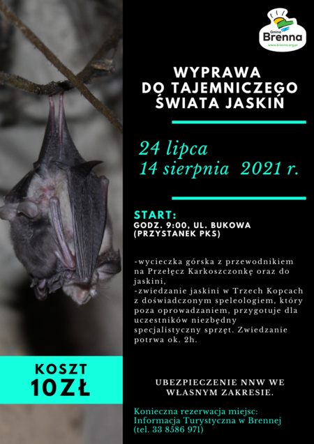 (kliknięcie spowoduje powiększenie obrazu)