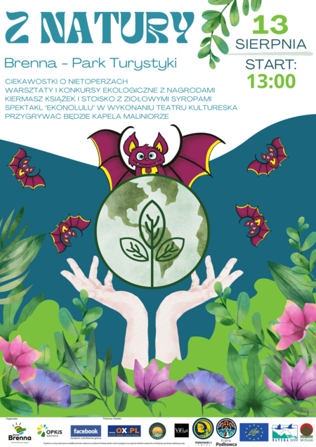 plakat z natury -nietoperze (kliknięcie spowoduje powiększenie obrazu)